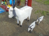 3 Goats