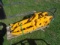 HMB Small Excavator Grapple
