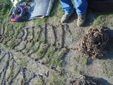 Set Of Tire Chains
