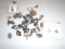 Case Lapel Pins & Ear Rings