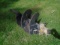 Post Hole Digger Augur