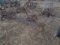 (4) Sicklebar Mowers