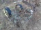 John Deere 3pt 2 Row Planter, Missing Hoppers