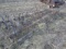 Field Harrow