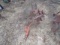 Allis Chalmers 2x Snap Coupler Plow