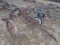 2x Trailer Plow On Steel Wheels
