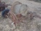 Antique Cement Mixer