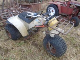 Yamaha 3 Wheeler