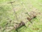(2) Antique Push Mowers
