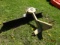Land Pride RB0560 3pt Backblade