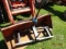 Kubota Style Bale Spear