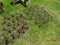 4' Chain Harrow