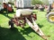 International 56 2 Row Pull Type Corn Planter