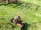 Antique Reel Mower