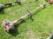 Husqvarna 325L Weed Wacker