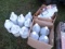 Group Of Paint Sheild & Fabric Protector