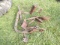 Farmall H Seat & Swinging Drawbar