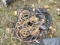 Pile Of Extension Cords