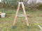 Werner 6' Ladder