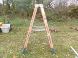 Werner 6' Ladder