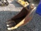 Cat 18