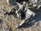 Wolverine PHA-15-02C SSL To 3pt Adapter w/ Hydraulic 540 Pto