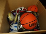 Soccer & Basket Balls