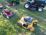 Cub Cadet Push Mower