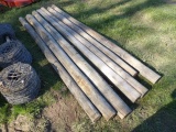 (7) Fence Posts