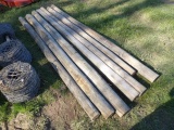 (7) Fence Posts