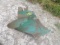 Green Plow Bottom