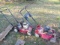 (2) Red Push Mowers, Not Running