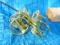 Click Pins, 10 Pack