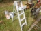 5' Alluminum Ladder