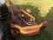 Caroni 5' 3pt Finish Mower
