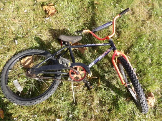 Murray 16" Bike