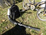 Echo Leaf Blower