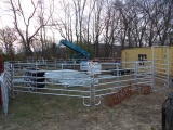 11 Piece Round Pen Corral, 10 Corral Panels Plus The Headgate, Nice Setup F