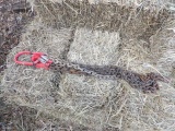 Lifting Chain