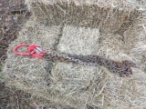 Lifting Chain