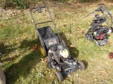 Brute 22