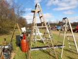 Werner 10' Wooden Ladder