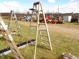 Keller Fiberglass 8' Ladder