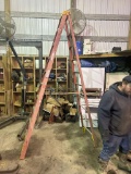 Werner 10' Step Ladder