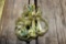 (10) New Implement Click Pins