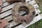Pair Of Case Wheel Weights