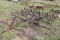 Drag Harrow