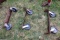 (3) Sets Of Caster Wheels