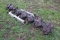 Parts Cutterbar For A New Holland 1411 Discbine