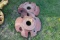 (2x) Allis Chalmers Wheel Weights, Sold By The Piece Times 2